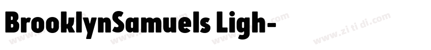 BrooklynSamuels Ligh字体转换 BrooklynSamuels Ligh字体转换